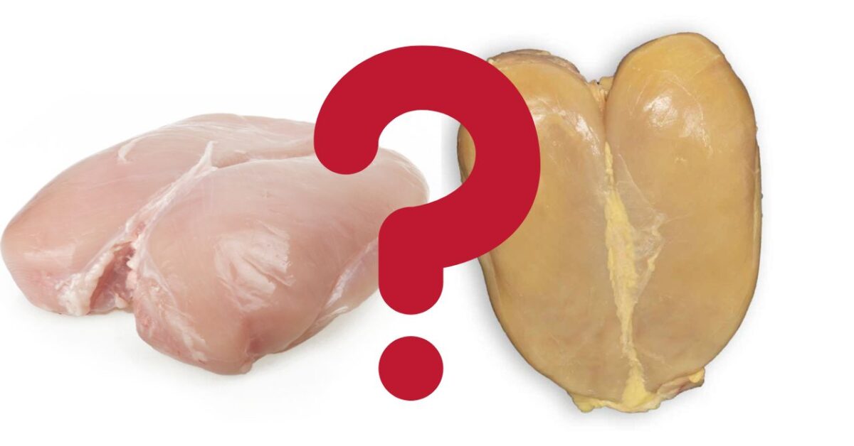 Petto Di Pollo Dal Colore Giallo O Bianco Ecco Le Principali