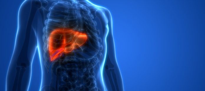 Cirrosi Epatica Cosè Cause Sintomi E Trattamento