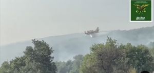 Incendi dalle Madonie al Parco dell’Etna, canadair in azione in Sicilia