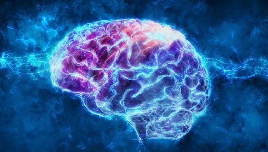 Si può prevenire l’invecchiamento del cervello? Come stanno davvero le cose