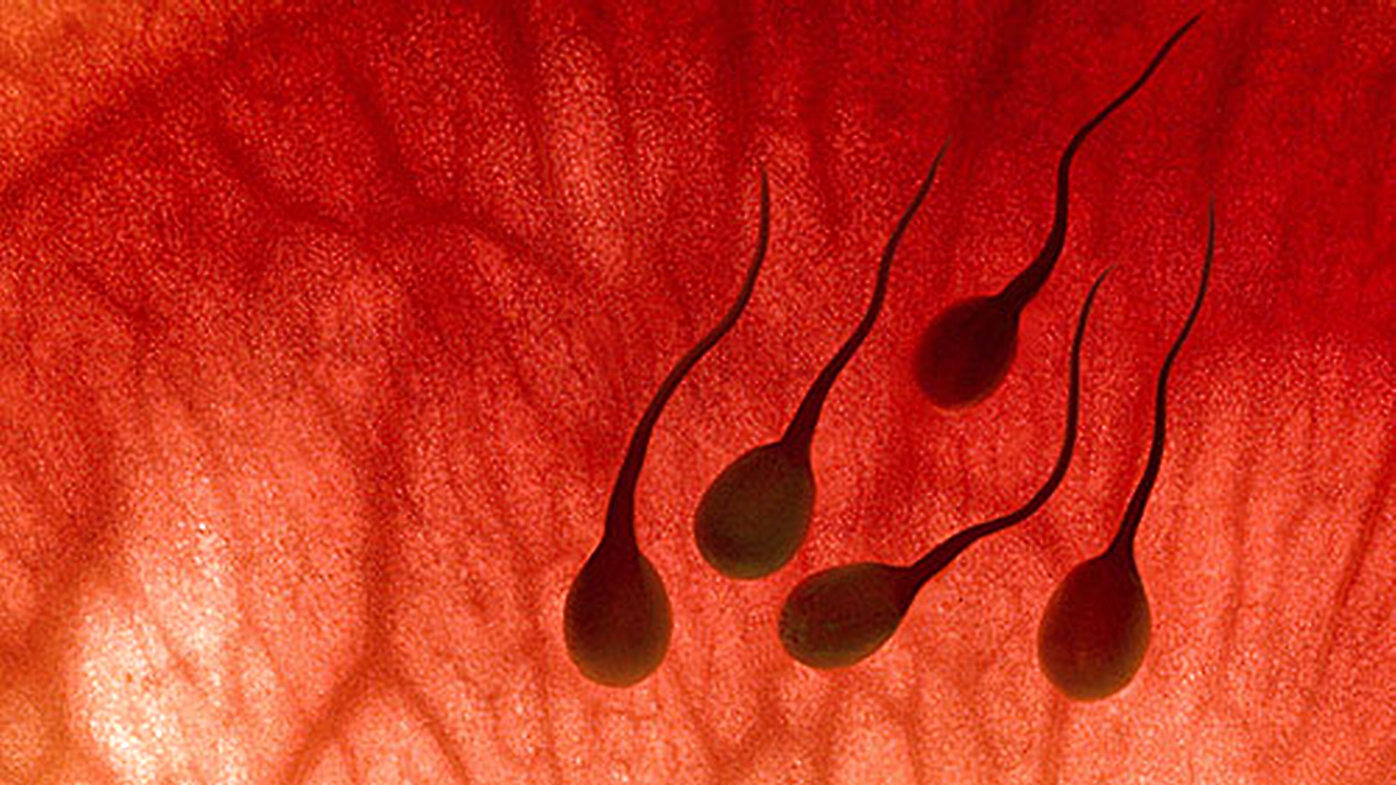 сперма во влагалище у детей фото 107