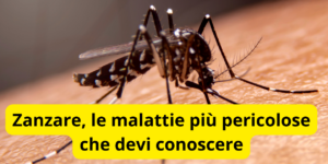 Zanzare, le malattie più pericolose che devi conoscere