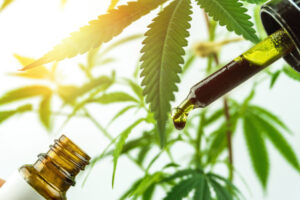 Perché scegliere un olio CBD Full Spectrum?